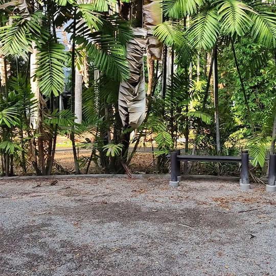 Quiet outdoor garden practice area at the Taiji class venue